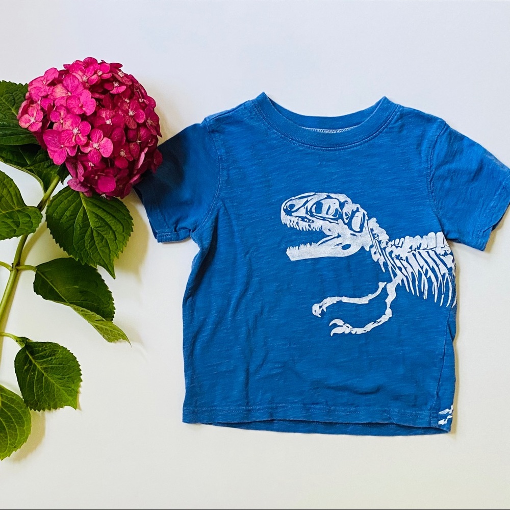 Carter’s Dinosaur Blue T-shirt (2T)